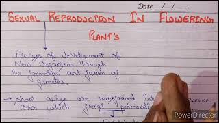 L1 sexual reproduction in flowering plant  microsporangium amp Microsporogenesis CBSE NEET 2022 [upl. by Ahsinra]