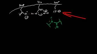 Serine Protease Mechanism [upl. by Bevan8]