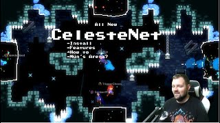 Celeste Chapter 8 quotThe Corequot Bside [upl. by Kinghorn247]