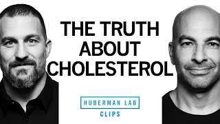 The Truth About Dietary Cholesterol  Dr Peter Attia amp Dr Andrew Huberman [upl. by Ribaj]