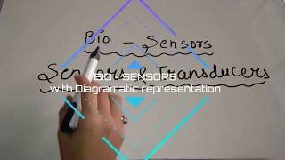 Bio Sensor explanation with Diagramatic representation [upl. by Dominic617]