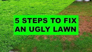 How to Fix an Ugly Lawn in 5 Easy Steps [upl. by Ynaitirb]