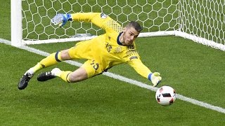 Best Goalkeeper Saves ● Euro 2016 [upl. by Elimaj]