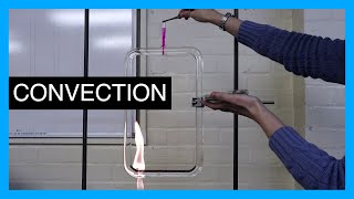 Convection Current  GCSE Physics Practical [upl. by Isadore]