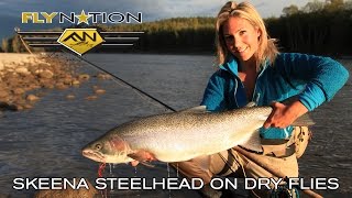 Fly Nation Skeena Steelhead on Dry Flies [upl. by Acinahs231]