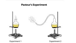 Pasteurs Experiment [upl. by Ybor774]