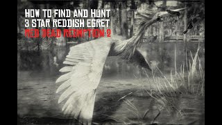 Red Dead Redemption 2 Perfect Reddish Egret Hunting Guide [upl. by Lamiv]