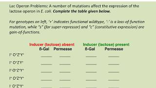 BIOL183 Solving Lac operon problems [upl. by Angelo]