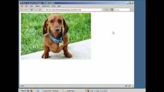 How to Insert an Image in a Webpage HTML  XHTML [upl. by Vickie]