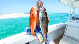 YBS Lifestyle Ep 47  A Day Spearfishing Remote Australian Islands [upl. by Notneb]