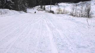 Sledging at Holmenkollen Oslo [upl. by Fanchan]