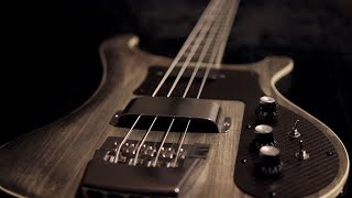 Build your DREAM Rickenbacker Bass for less than 400 [upl. by Katharine]