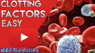 Clotting Factors  Coagulation Cascade [upl. by Chrisoula989]