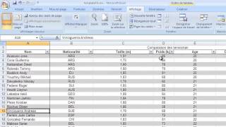 Excel 2007 tutoriel 4  Figer les volets et fractionner les cellules [upl. by Sumer]