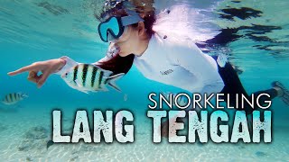 Lang Tengah Island amp Redang Island Snorkeling  Night Snorkeling [upl. by Almeda]