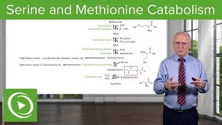 Serine Family and Methionine Catabolism – Biochemistry  Lecturio [upl. by Sarah]