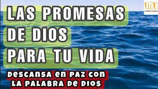 Las PROMESAS de DIOS  Versículos para Sanidad y Paz  Duerme con la Palabra de Dios  Audio Biblia [upl. by Hooke]