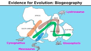 The Evolution of Populations Natural Selection Genetic Drift and Gene Flow [upl. by Jahn]