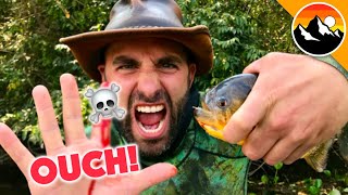 EATEN ALIVE  Human Hands vs Piranha [upl. by Sarson]