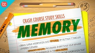 Memory Crash Course Study Skills 3 [upl. by Yelsnik557]