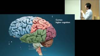 Dr Octavio Choi presents Brain Basics An Introduction to Cognitive Neuroscience [upl. by Mosora601]