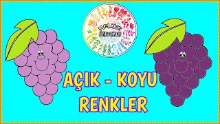 KAVRAMLARI ÖĞRENİYORUM  RENK TONLARI OKUL ÖNCESİ AÇIK  KOYU RENKLER [upl. by Anihtyc]