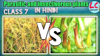 Parasitic and Insectivorous plants  Science  Class 7  in Hindi [upl. by Ielarol279]