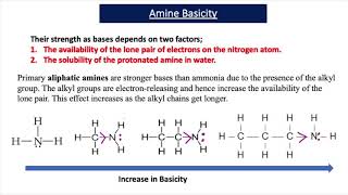 The Basicity of Amines A2 Chemistry [upl. by Cy]