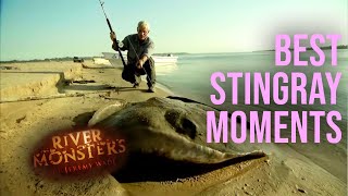 Best Of Stingrays  COMPILATION  River Monsters [upl. by Eulalie]