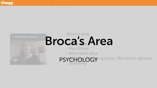 Broca’s Area  Psychology  Chegg Tutors [upl. by Nedle]