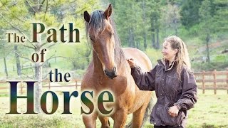 The Path of the Horse  Full Length documentary [upl. by Anitnas]