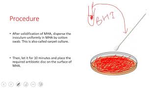 Antibiotic Susceptibility Test Disc Diffusion Method [upl. by Eserrehs867]