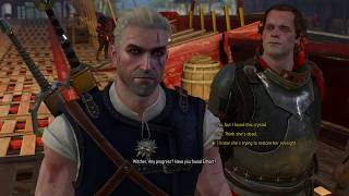 Witcher 3  Give megascope crystal to Radovid Redanias Most Wanted Wild Hunt [upl. by Ednew261]