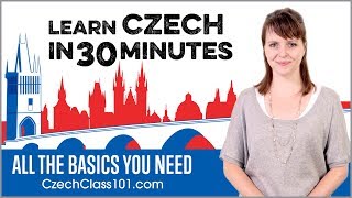 Learn Czech in 30 Minutes  ALL the Basics You Need [upl. by Arleen]