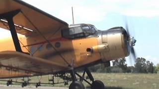 Antonov An2  engine start awesome sound [upl. by Kentiggerma75]