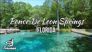 Ponce De Leon Springs Virtual Tour ABOVE AND BELOW [upl. by Nnaeerb122]