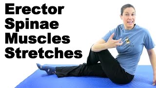 Erector Spinae Muscles Stretches  Ask Doctor Jo [upl. by Drucilla]