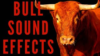 BULL SOUND EFFECTS  How Do Bull Sounds [upl. by Eeniffar]