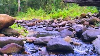 Gentle Stream Sounds  Relaxing Stream Sounds use for Relaxation Sleep insomnia [upl. by Gudrun]