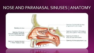 UHS ENT nasal treatment demonstration [upl. by Hamil]