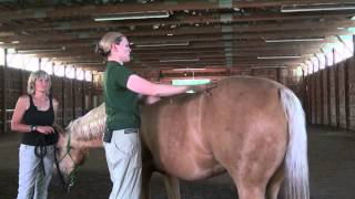 Denise Bean Raymond Demonstrates Equine Massage June 23 2013 Part 3 [upl. by Niliac35]