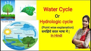 Water cycle  Hydrological cycle  Evaporation Transpiration Condensation Precipitation [upl. by Peedus]