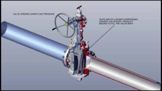 DANEX Double Block and Bleed Plug Valve Animation [upl. by Laurel876]