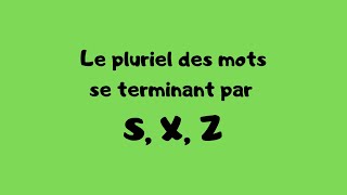 Le pluriel des mots se terminant par S X Z [upl. by Nerral]