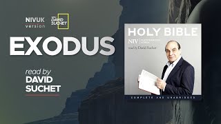 The Complete Holy Bible  NIVUK Audio Bible  2 Exodus [upl. by Soilisav77]