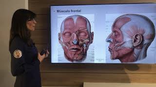 Músculos da Expressão Facial anatomia e análise funcional aplicada à Harmonização Orofacial [upl. by Lorraine490]