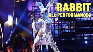 Rabbit All Performances amp Reveal Masked Singer [upl. by Kenwee]