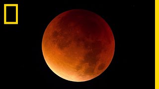 Lunar Eclipse 101  National Geographic [upl. by Elon]