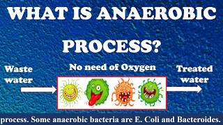 What is Anaerobic process  Types of Anaerobic process  wastewater treatment [upl. by Elocen]