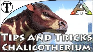 Fast Chalicotherium Taming Guide  Ark  Survival Evolved Tips and Tricks [upl. by Isbella]